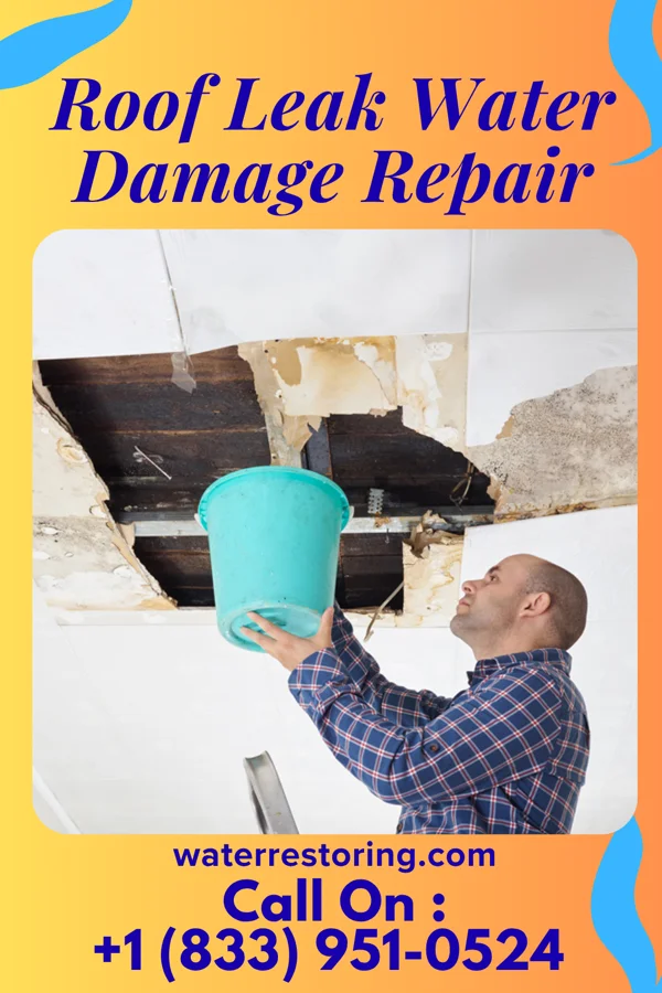 Roof Leak Water Damage Repair in Abanda, AL