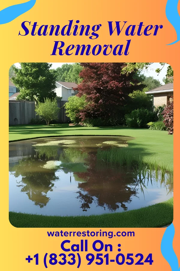 Standing Water Removal in Abanda, AL